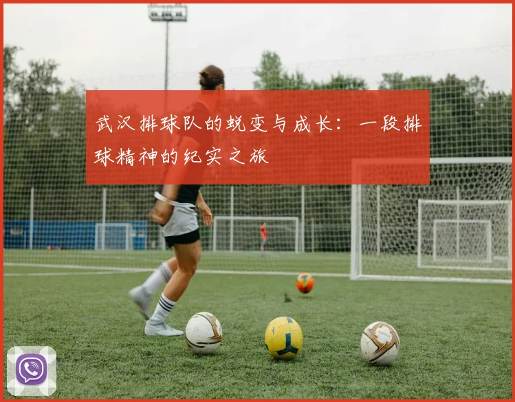 武汉排球队的蜕变与成长：一段排球精神的纪实之旅